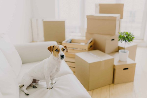 How to Create a Cozy Window Seat with Hidden Storage in a Victorian Home?