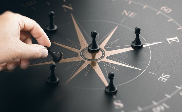 What Are the Best Techniques for Teaching a Visually Impaired Dog to Navigate Home?